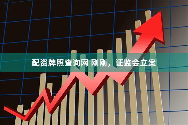 配资牌照查询网 刚刚，证监会立案
