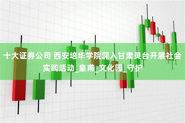十大证券公司 西安培华学院深入甘肃灵台开展社会实践活动_皇甫_文化园_守护
