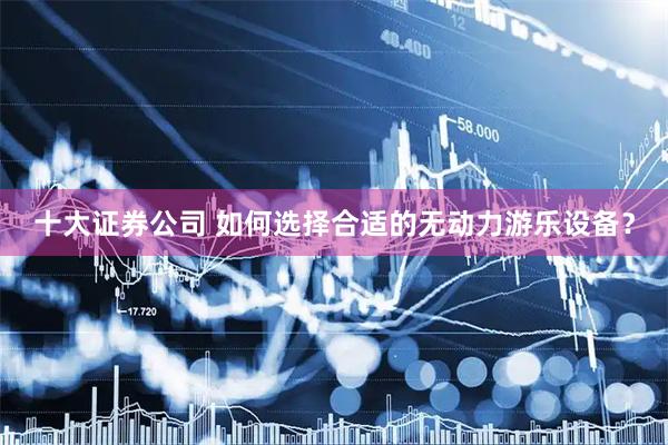 十大证券公司 如何选择合适的无动力游乐设备？