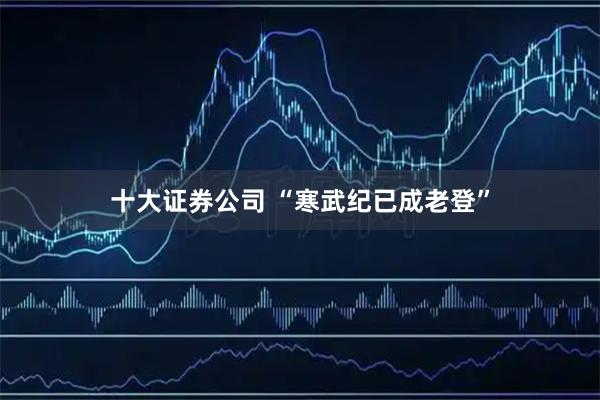十大证券公司 “寒武纪已成老登”